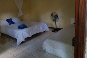 1 Bedroom Units (6)