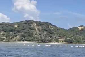 Samadhi - Bilene Scenes (3)