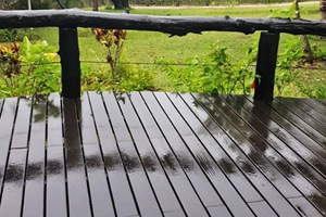 Samadhi - Outside Garden (6)