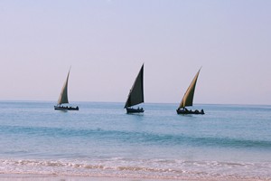 Barra Beach Villa - March 2026 (10)