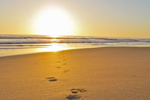 Barra Beach Villa - March 2026 (7)