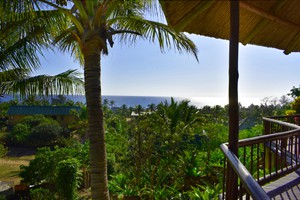 Barra Pescador Lodge - Avocet (21)