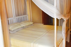 Barra Pescador Lodge - Avocet (2)