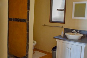 Barra Pescador Lodge - Avocet (34)