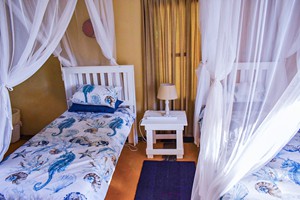 Barra Pescador Lodge - Avocet (35)