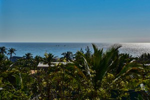 Barra Pescador Lodge - Avocet (38)
