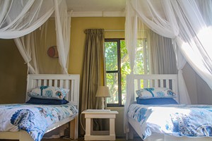 Barra Pescador Lodge - Avocet (40)