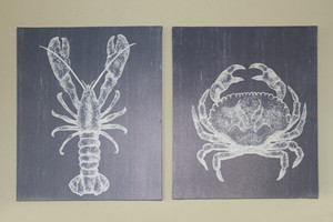 Barra Pescador Lodge - Avocet (45)