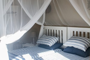 Barra Pescador Lodge - Avocet (54)