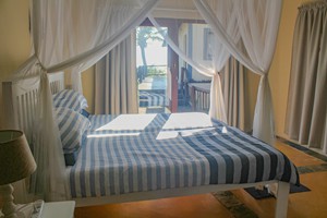 Barra Pescador Lodge - Avocet (56)