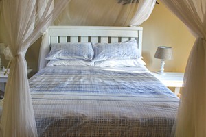 Barra Pescador Lodge - Avocet (59)