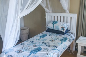 Barra Pescador Lodge - Avocet (60)