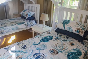 Barra Pescador Lodge - Avocet (61)