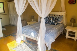 Barra Pescador Lodge - Avocet (62)