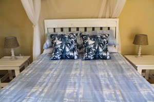 Barra Pescador Lodge - Avocet (66)