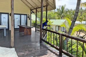 Barra Pescador Lodge - Avocet (8)