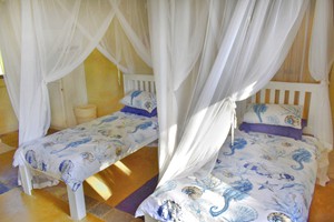 Barra Pescador Lodge - Avocet (8)