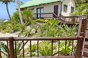 Barra Pescador Lodge - Avocet (9)