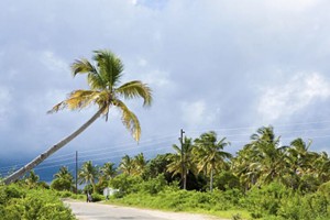 Barra Pescador Lodge - Lalapanzi #2 (2)