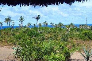 Coconut Bay Cottage (2)