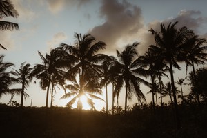 23_Sunsets - Copy - Copy