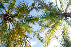 Morrumbene Beach Resort (38)