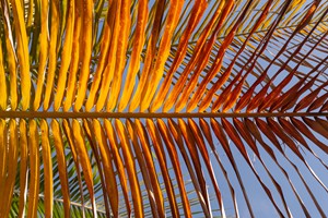 Morrumbene Beach Resort (39)