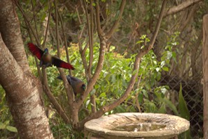 Morrumbene Beach Resort (50)