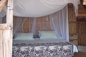 Kips Palace Beach Camp - Pomene