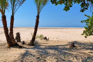 Kips Palace Beach Camp - Pomene