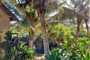 Casa Tubarao Villa (7)