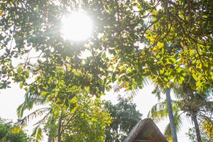 Detached Double Unit Chalet 2 (1)