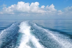 Deep Sea Fishing at Lukes Place (1)