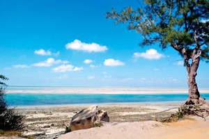 Vilanculos Activities and Attractions (10)