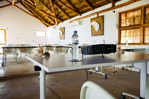 Conferences (3)