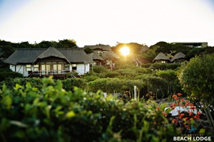 Deluxe Bungalow (10)