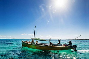 Dhow Sailing (3)