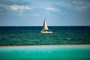 Dhow Sailing (5)