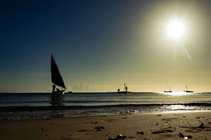 Dhow Sailing (6)