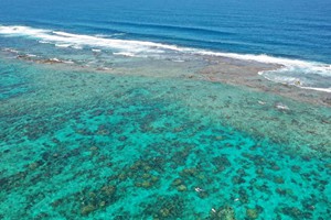Island Vibes (11)