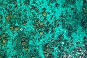 SCUBA Diving (10)