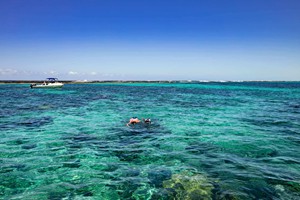SCUBA Diving (13)