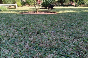 Matola Maritima Lodge (32)