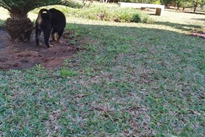 Matola Maritima Lodge (9)