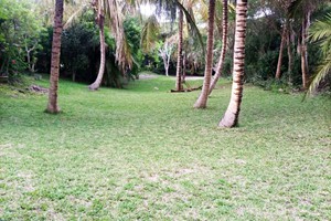 Inguane Bay Lodge (34)