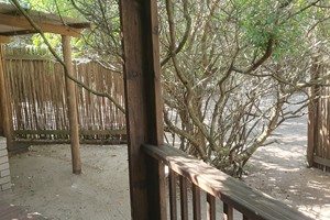 Casa 4 July 2025 (25)