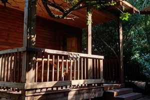 Casa 5 July 2025 (18)