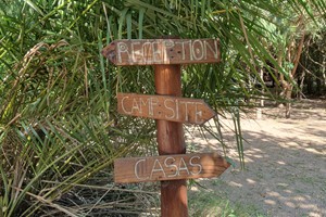 Casa 6 July 2025 (29)