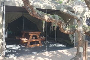 Safari Tent 2 (17)