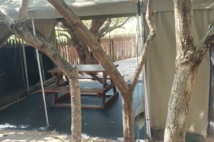 Safari Tent 3 (15)